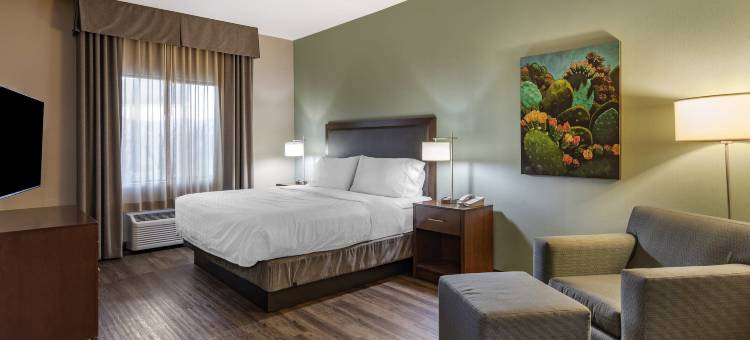 Holiday Inn Express & Suites Indio - Coachella Valley图片