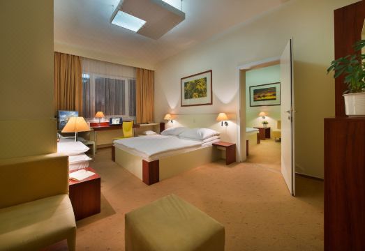 Hotel Grand Litava BerounHotel Overview