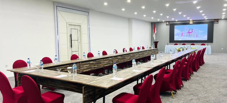 贝尔拉格利酒店暨会议中心(The Belagri Hotel & Convention)图片