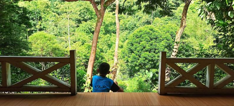 唐卡汉绿色森林酒店(Green Forest Tangkahan)图片