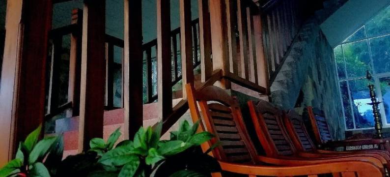 雄狮自然酒店(Hotel Lion Nature)图片