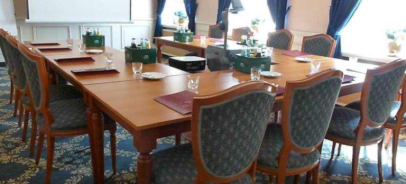 莱茵尼斯彻霍夫拜德索登酒店(Hotel Rheinischer Hof Bad Soden)图片