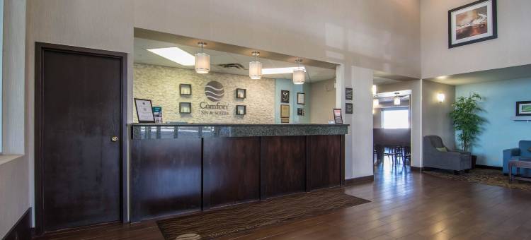 舒适套房酒店南机场店(Comfort Inn & Suites Airport South)图片