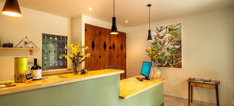 石灰区酒店(Domaine des Tilleuls)图片