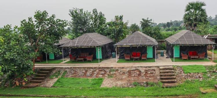 阿卢尔德巴兰蒂(Allure de Baranti)图片