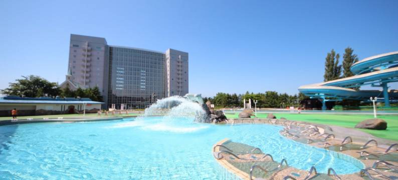 札幌朵蕾丝水疗度假酒店(Chateraise Gateaux Kingdom Sapporo Hotel & Spa Resort)图片