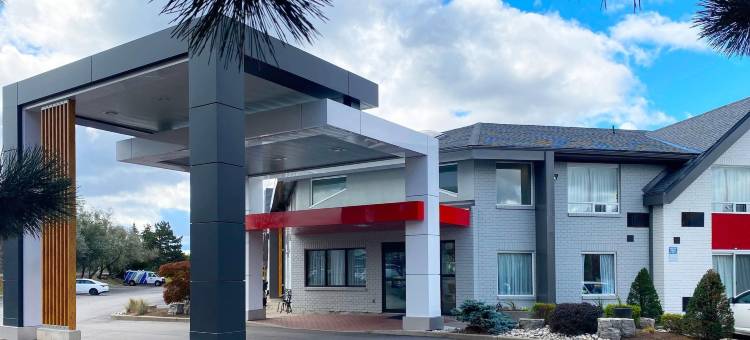 柴登舒适酒店(Comfort Inn)图片