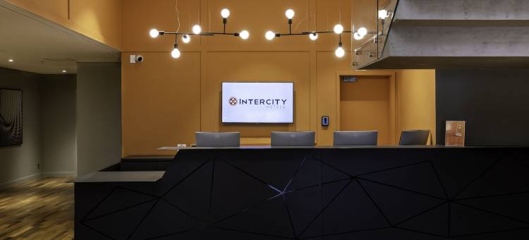 塔图亚佩城市酒店(Intercity Tatuapé)图片