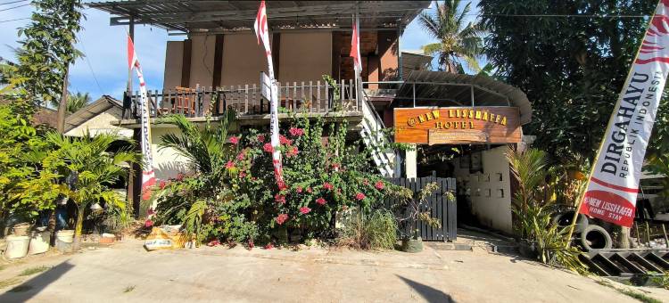 新丽莎法旅馆(New Lishafa Guesthouse)图片