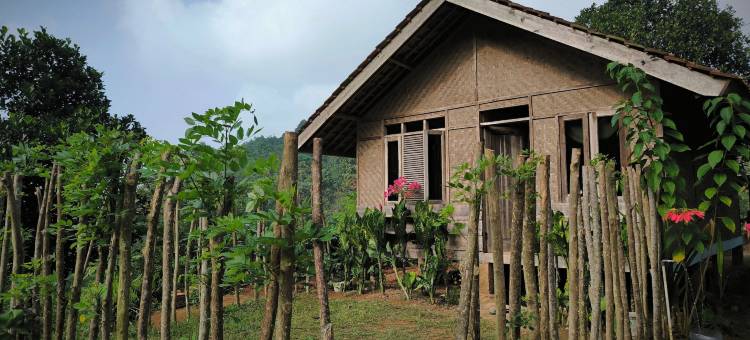 曼南格尔农场住宿(Farmstay Manangel)图片