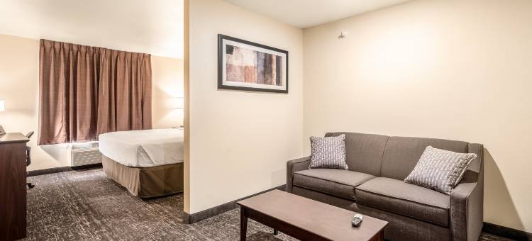 舒适套房酒店-摩根(Comfort Inn & Suites Morgan)图片