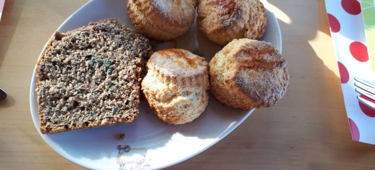 The Ring 农庄(The Ring Farmhouse)图片