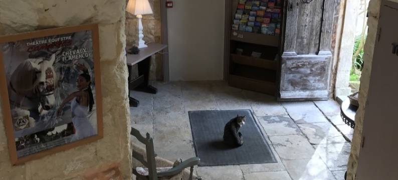 马斯赛维尔酒店(Mas de Sylvereal)图片