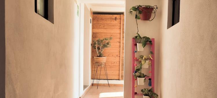 圣约瑟夫塔民宿(Santa Josefita Bed & Breakfast)图片