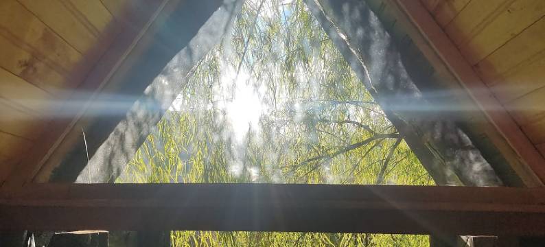 伊沃卡生态旅游酒店(Iwoka Ecoturismo)图片