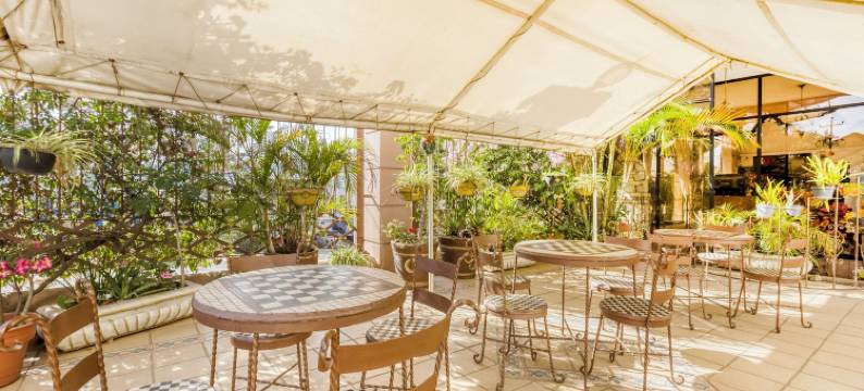 Capital O 金色山丘(Capital O Colina Dorada)图片