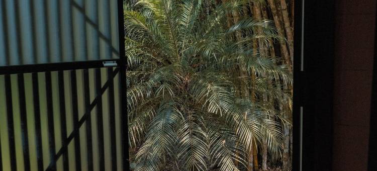 哈玛德里亚山林小屋酒店(Hamadryade Lodge)图片