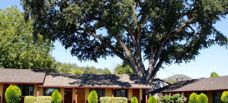 旋律牧场汽车旅馆(Melody Ranch Motel)图片