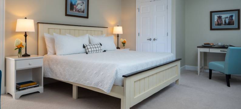 苹果小马旅馆(Apple Pony Inn)图片