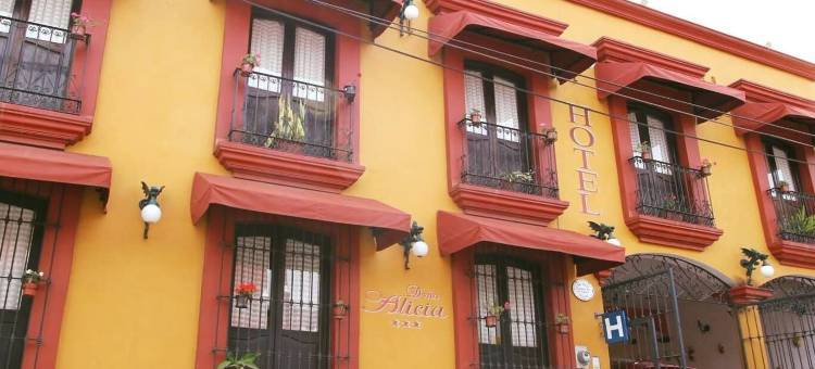 多尼亚艾丽西亚酒店(Hotel Doña Alicia)图片