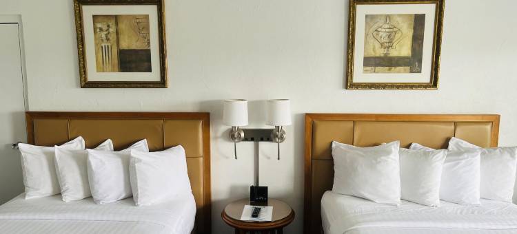 松树乡村旅馆(The Pines Country Inn)图片