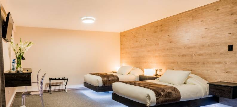 维萨酒店(Hotel Viza)图片