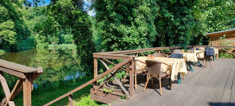 卡米纳湖滨酒店(Carmina am See)图片