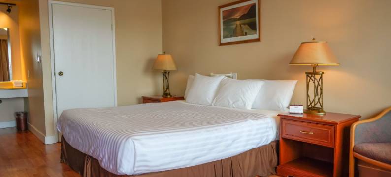 雷鸟汽车旅馆(Thunderbird Motor Inn)图片