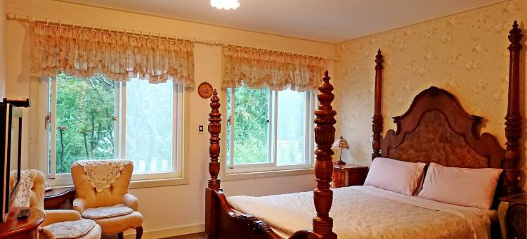 桃园普拉多山丘假期图片