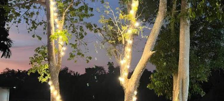 7Zee景观(7Zee View)图片