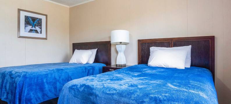 OYO酒店年轮阿尔，花卉公路(OYO Hotel Opp Al, Floral Hwy)图片