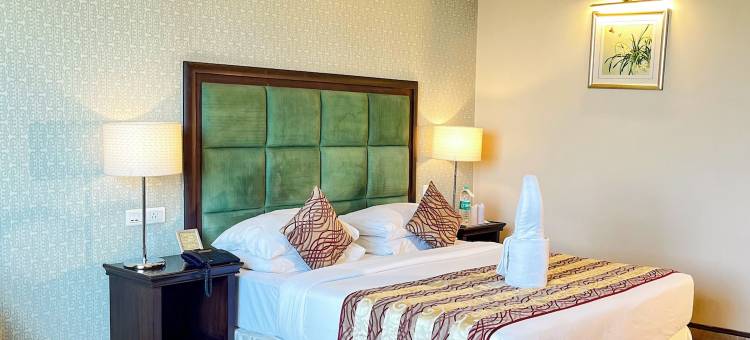 高德温梅鲁特(Godwin Meerut)图片