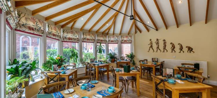 达尔文联排别墅(Darwin's Townhouse)图片