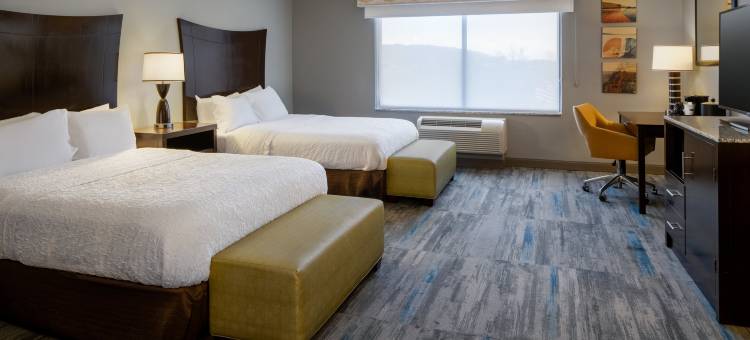 希尔顿欢朋酒店-塞内卡瀑布(Hampton Inn Seneca Falls)图片