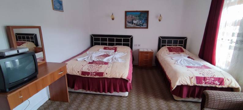 巴伊卡尔酒店(Hotel Baykal)图片