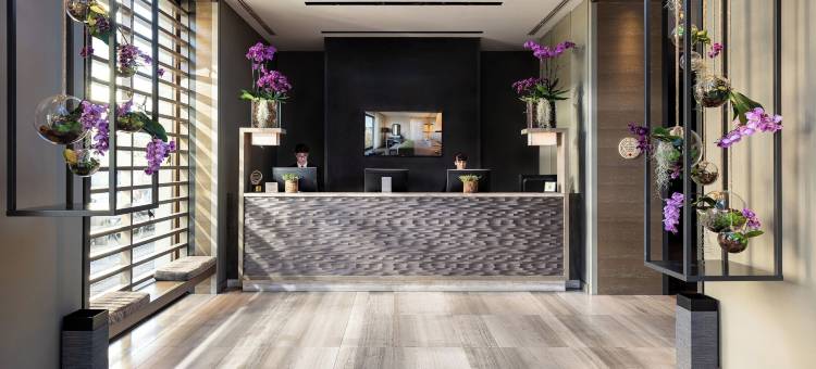 星际埃科酒店(Starhotels Echo)图片