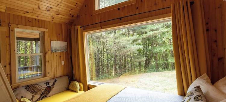 Remote Tiny Cabin & Hiking!图片