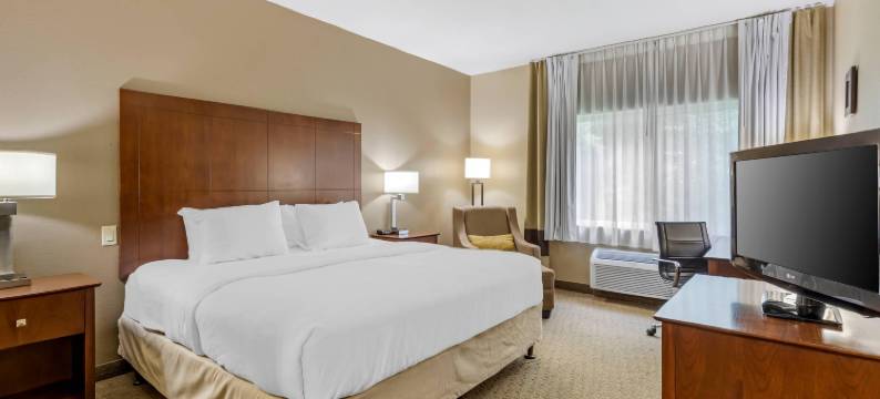 东莫林舒适套房酒店 - 近 I-80(Comfort Inn & Suites East Moline Near I-80)图片