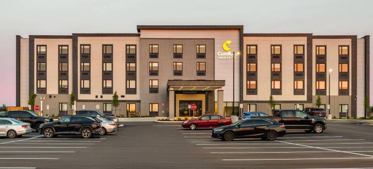 舒适酒店及套房(Comfort Inn  & Suites)图片