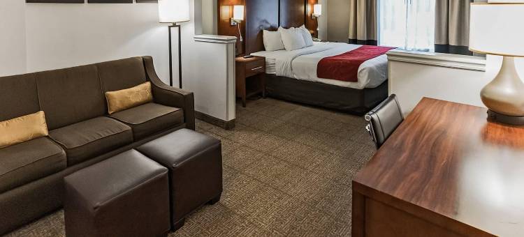 索尔兹伯里I-85舒适套房酒店(Comfort Suites Salisbury I-85)图片