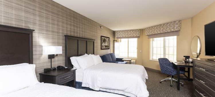 希尔顿欢朋酒店-荷兰(Hampton Inn Holland)图片