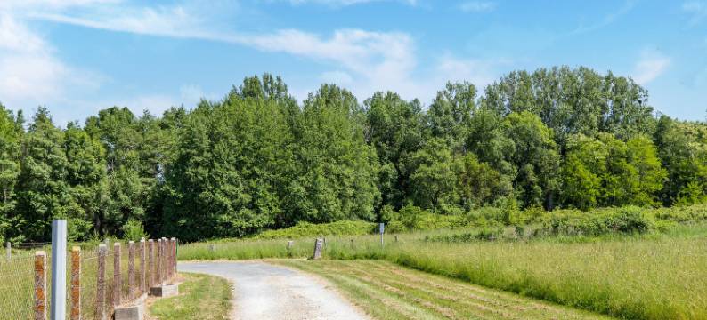 Elegant Château Escape图片