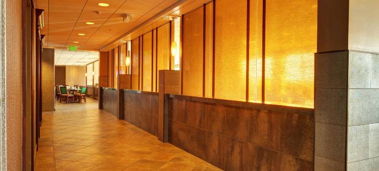 得梅因市中心-默西区假日酒店(Holiday Inn des Moines Dtwn - Mercy Area)图片