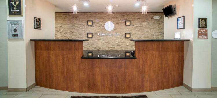 马里恩I-57号舒适套房酒店(Comfort Inn & Suites Marion I-57)图片