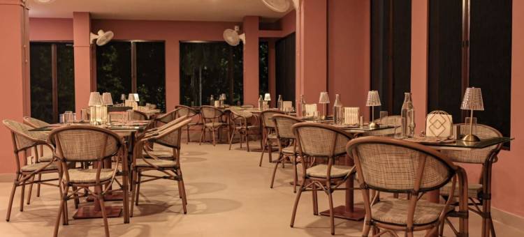 伊罗伊卡齐兰加(Irroi Kaziranga)图片