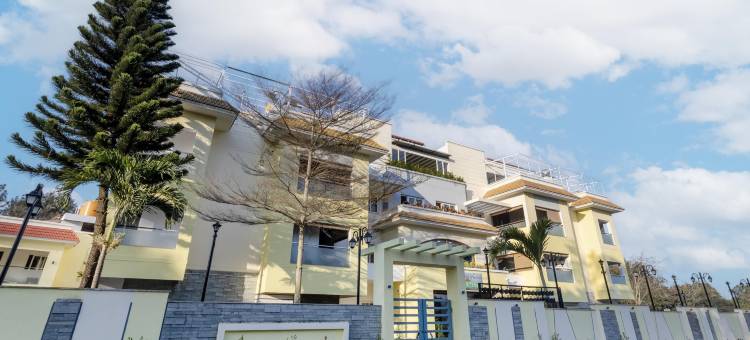 翡翠鸽(Treebo Premium Emerald Dove)图片