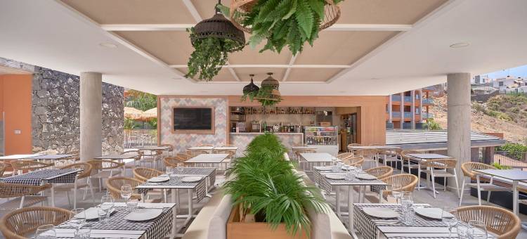 塞尔瓦图尔阿尔吉内金公园VV(Arguineguín Park by Servatur VV)图片