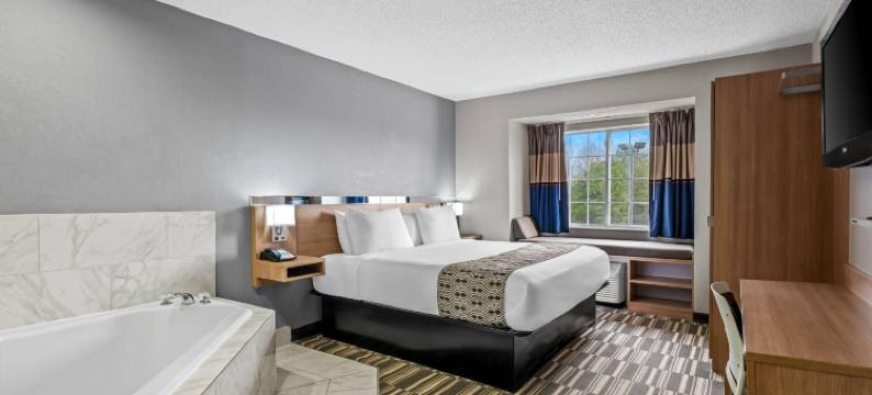 斯泰茨维尔温德姆麦客达套房酒店(Microtel Inn & Suites by Wyndham Statesville)图片