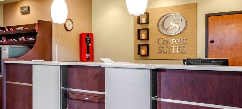 路易斯维尔东舒适套房酒店(Comfort Suites Louisville East)图片
