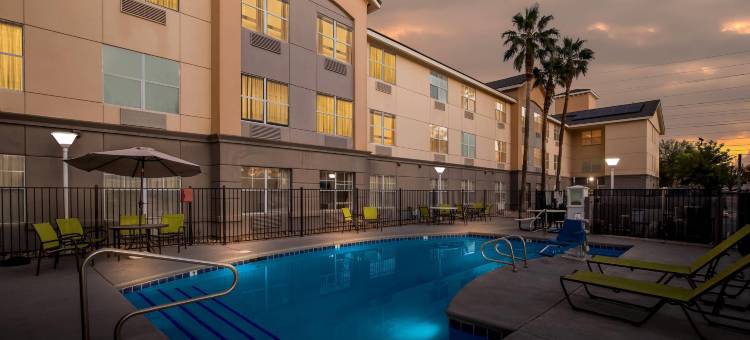 美洲长住套房酒店-拉斯维加斯火烈鸟(MainStay Suites Las Vegas Flamingo)图片